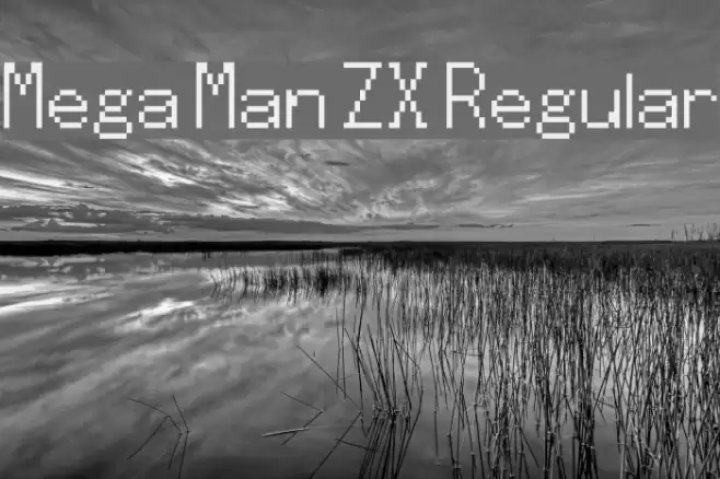 Mega Man ZX Regular フォント examples