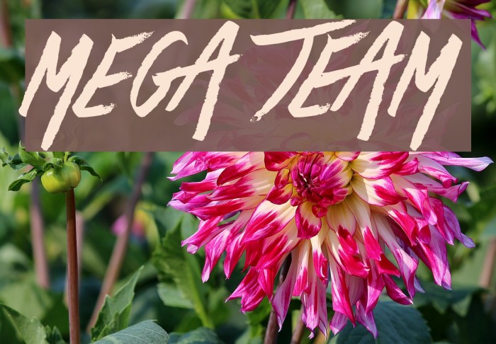 Mega Team Font examples