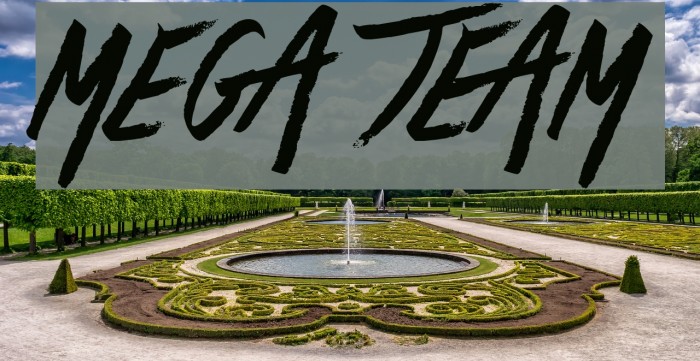 Mega Team Font examples