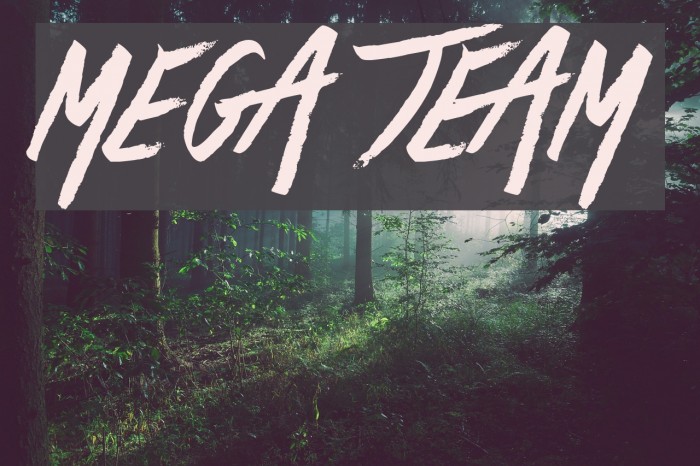 Mega Team Font examples
