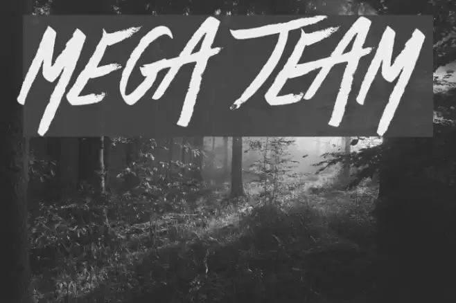 Mega Team خط examples