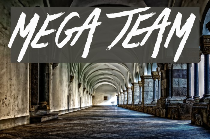 Mega Team Font examples