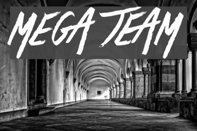 Mega Team خط examples