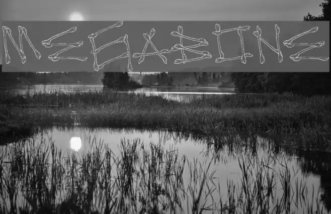 MegaBone Font examples