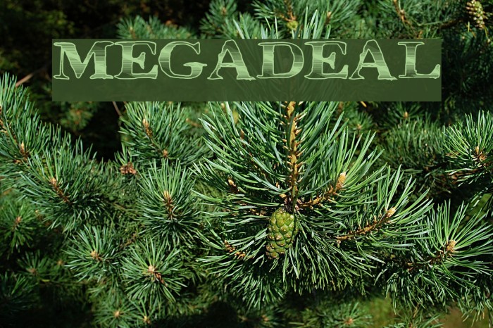 MegaDeal Font examples