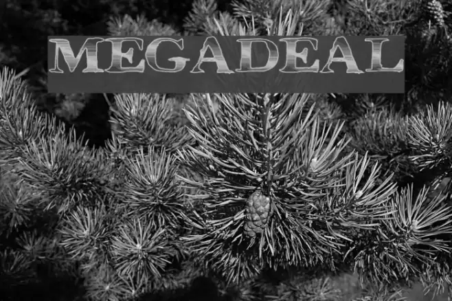 MegaDeal Fonte examples