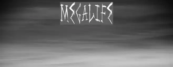 MegaLife Example 2