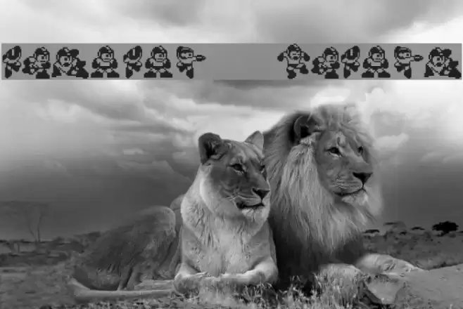 MegaMan TheMang Polices examples