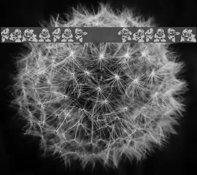 MegaMan TheMang Polices examples