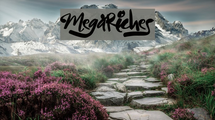 MegaRiches Example 3