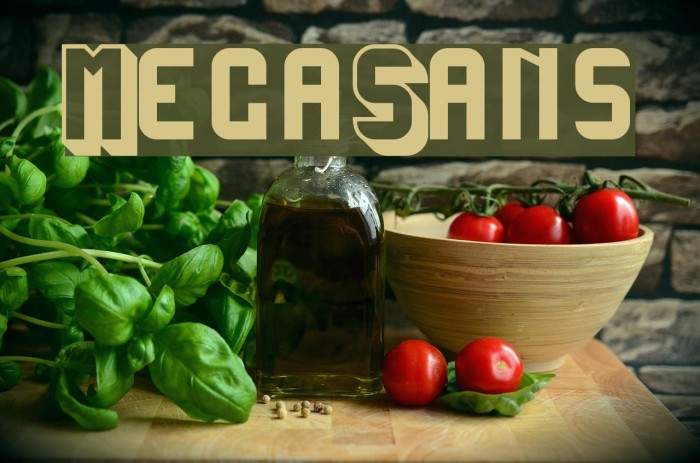MegaSans Font examples