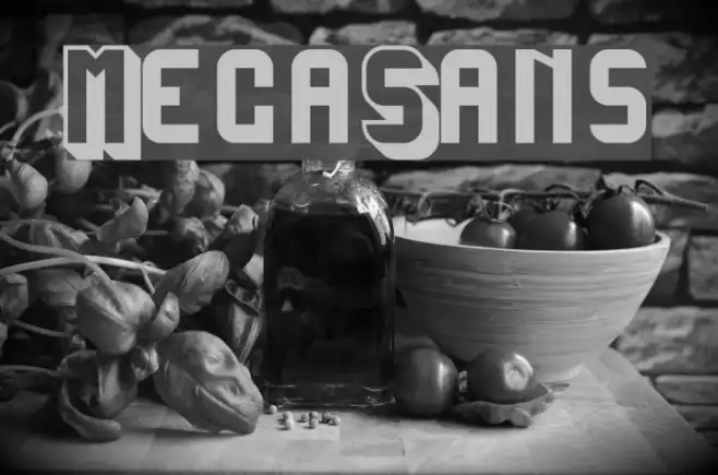 MegaSans Example 2
