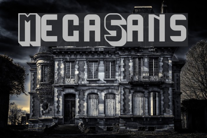 MegaSans Font examples