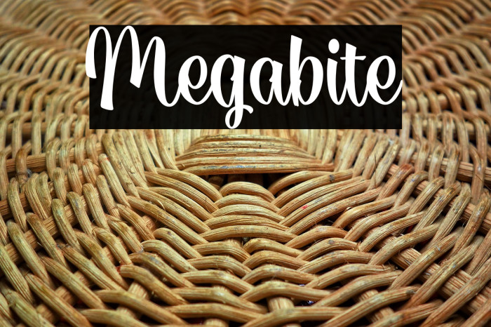 Megabite Example 3