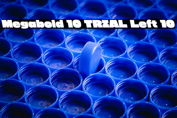 Megabold 1.0 TRIAL Left 10 Example 3