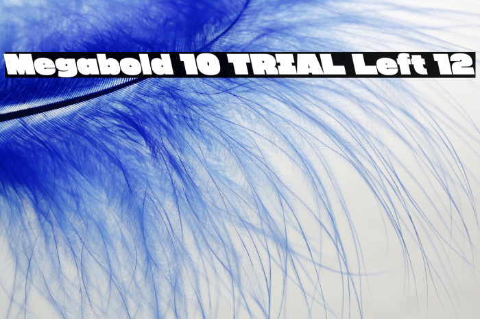 Megabold 1.0 TRIAL Left 12 Example 2