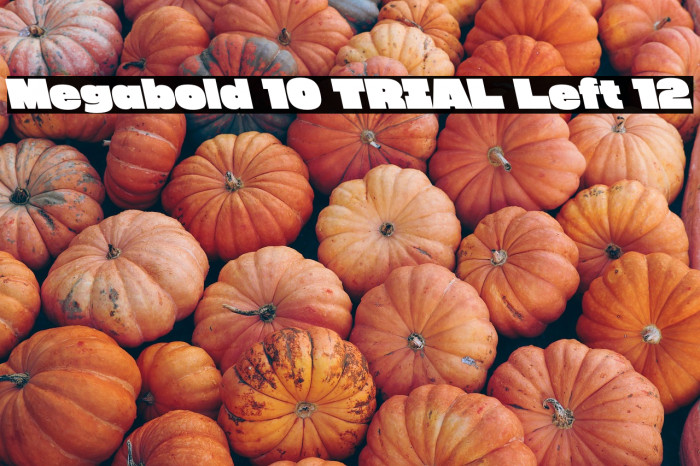 Megabold 1.0 TRIAL Left 12 Example 3