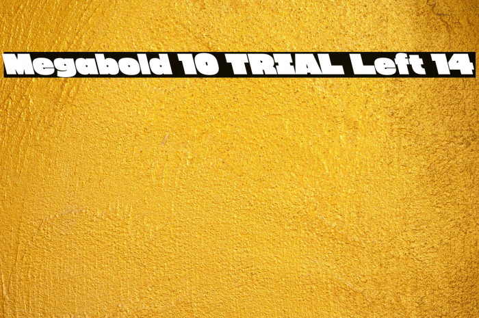Megabold 1.0 TRIAL Left 14 Example 1