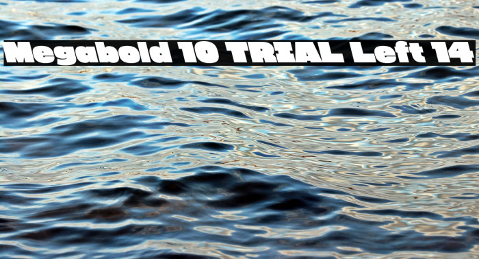 Megabold 1.0 TRIAL Left 14 Example 3
