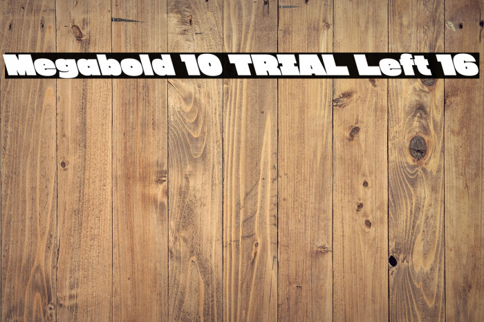 Megabold 1.0 TRIAL Left 16 Example 1