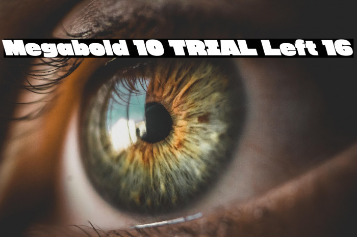 Megabold 1.0 TRIAL Left 16 Example 2