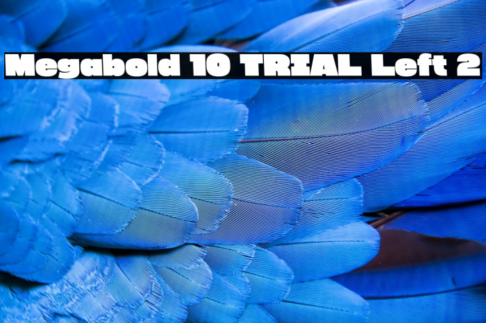 Megabold 1.0 TRIAL Left 2 Example 1