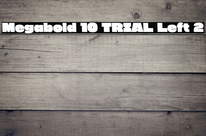 Megabold 1.0 TRIAL Left 2 Example 2
