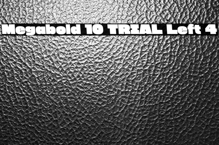 Megabold 1.0 TRIAL Left 4 Example 1