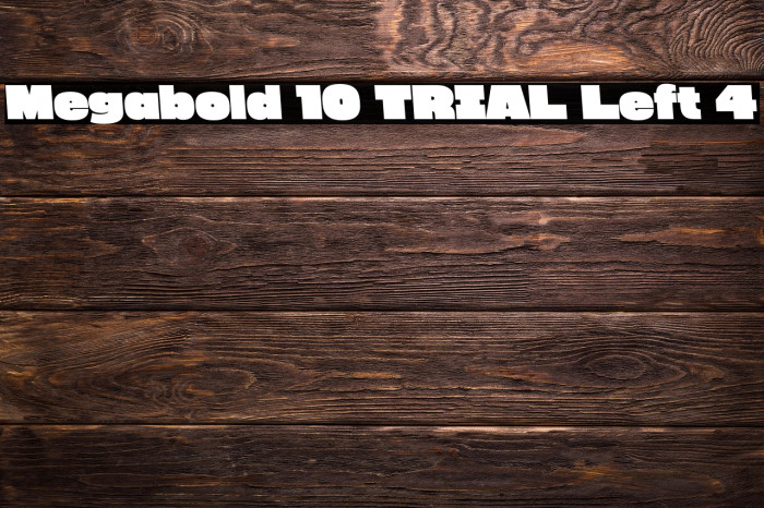 Megabold 1.0 TRIAL Left 4 Example 2