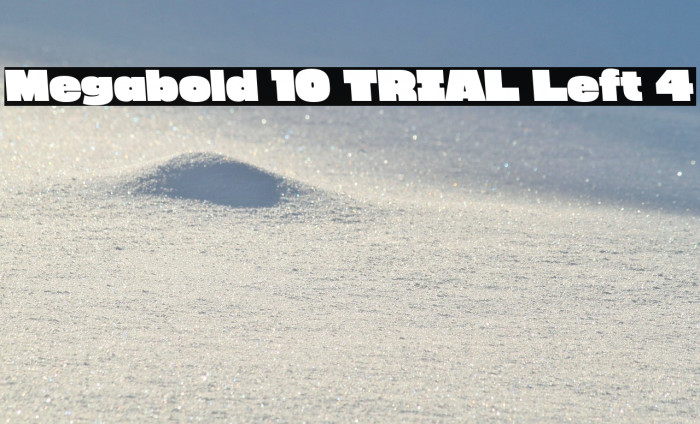 Megabold 1.0 TRIAL Left 4 Example 3
