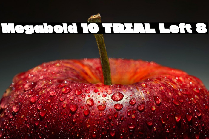 Megabold 1.0 TRIAL Left 8 Example 1