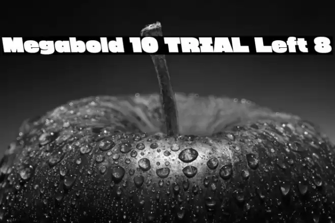 Megabold 1.0 TRIAL Left 8 Font examples
