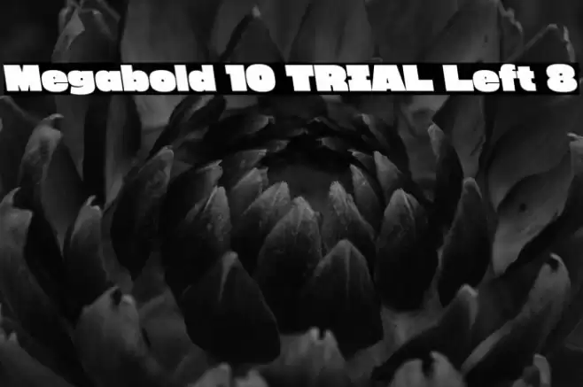 Megabold 1.0 TRIAL Left 8 Font examples