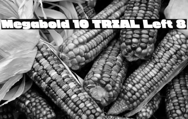 Megabold 1.0 TRIAL Left 8 Font examples
