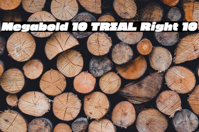 Megabold 1.0 TRIAL Right 10 Example 1