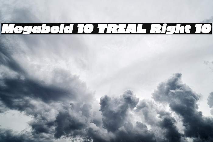Megabold 1.0 TRIAL Right 10 Example 2