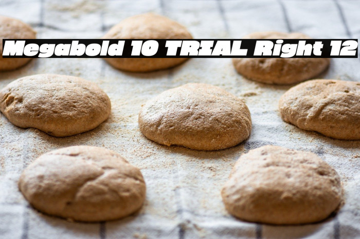 Megabold 1.0 TRIAL Right 12 Example 1