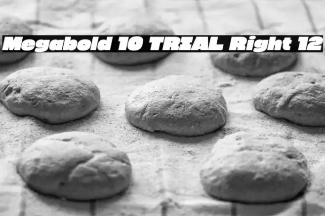 Megabold 1.0 TRIAL Right 12 Font examples