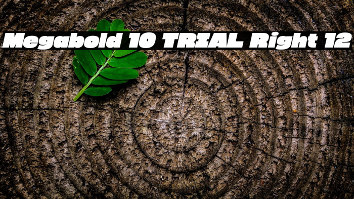 Megabold 1.0 TRIAL Right 12 Example 2