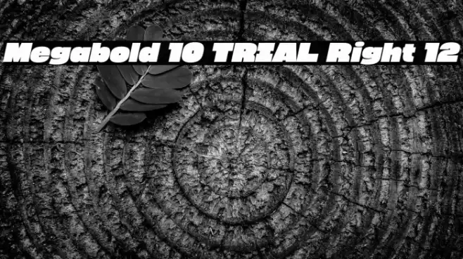Megabold 1.0 TRIAL Right 12 Font examples