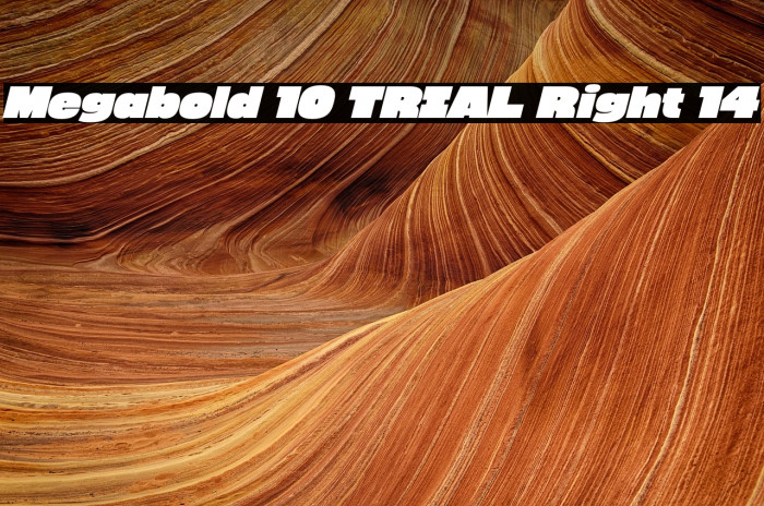 Megabold 1.0 TRIAL Right 14 Example 1
