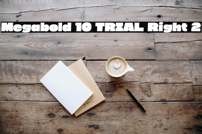 Megabold 1.0 TRIAL Right 2 Example 2