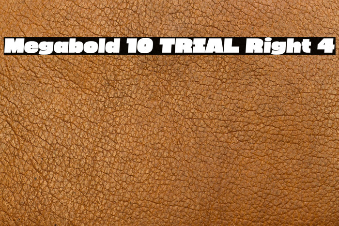 Megabold 1.0 TRIAL Right 4 Example 2