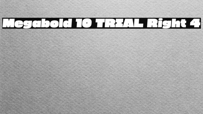 Megabold 1.0 TRIAL Right 4 Example 3