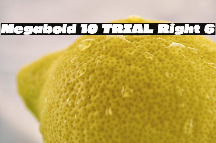 Megabold 1.0 TRIAL Right 6 Example 2