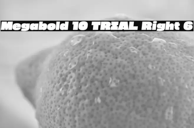 Megabold 1.0 TRIAL Right 6 Font examples
