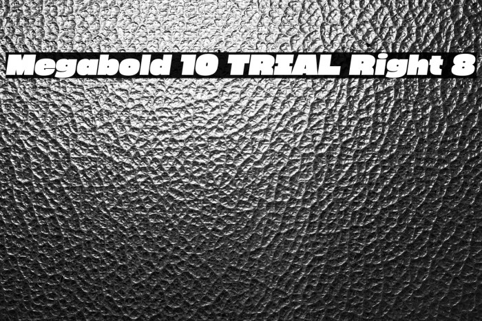 Megabold 1.0 TRIAL Right 8 Example 2
