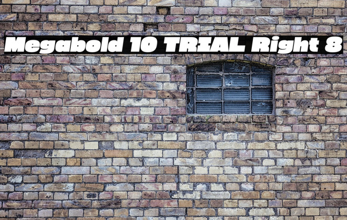Megabold 1.0 TRIAL Right 8 Example 3