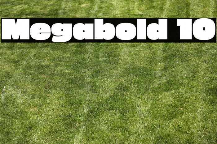 Megabold 1.0 Example 1