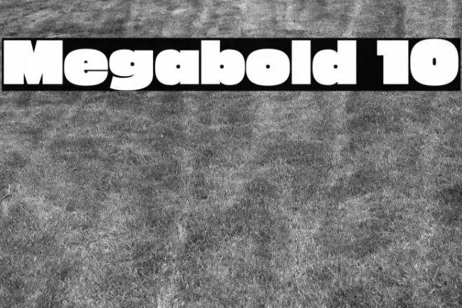 Megabold 1.0 Font examples